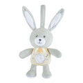 Peluche con luz y música Conejito - Chicco