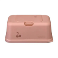 Caja toallitas Rosa Cereza - Funkybox